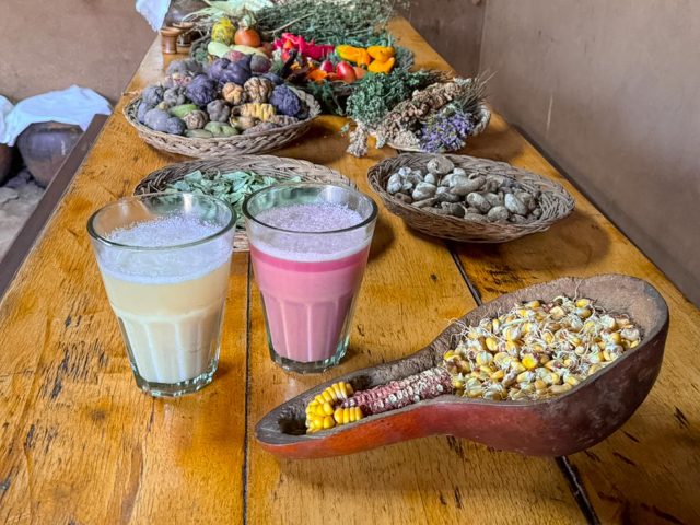 Chicha Tasting