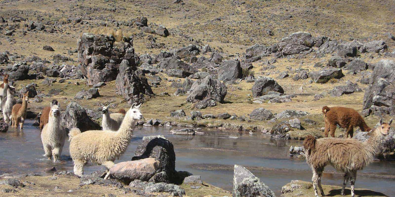 lares trek (5)
