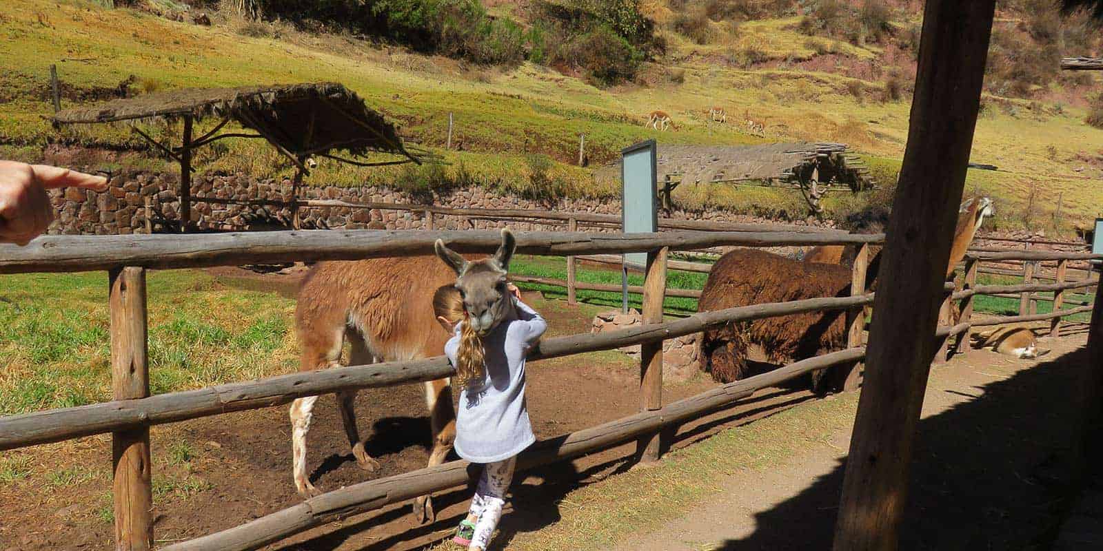 Pisac Sacred Valley