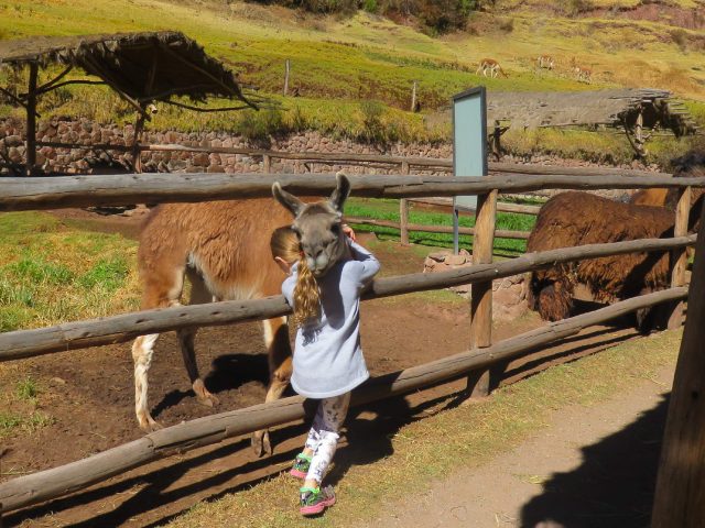 Full Day Pisac & Sacsayhuamán Tour with Cuy Tasting from Cusco