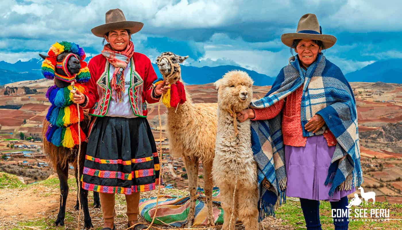 Alpacas And Llamas Farms In The Sacred Valley In Cusco 2025