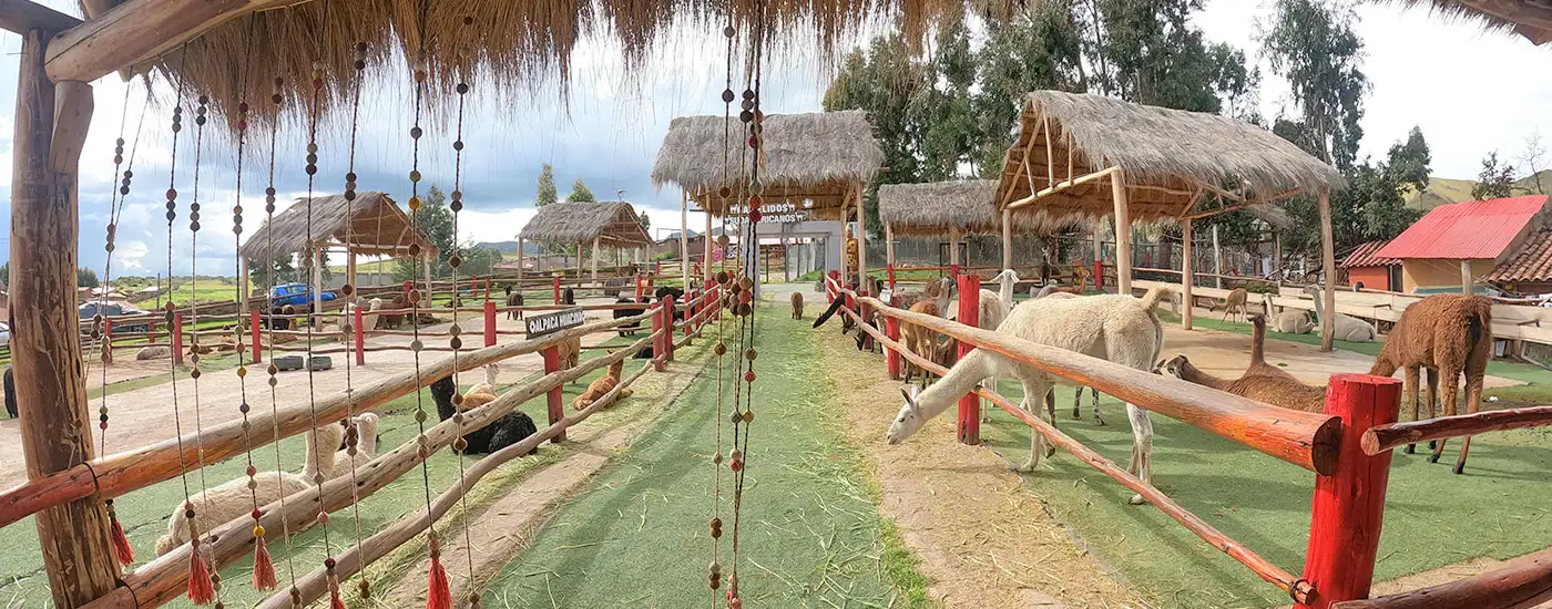 Come See Peru Tours