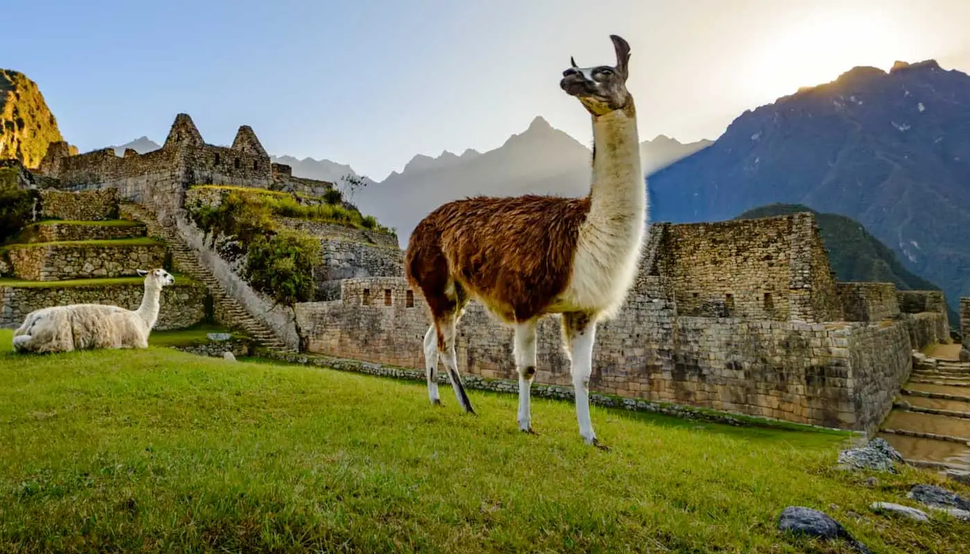 Machu Picchu Tours from Cusco