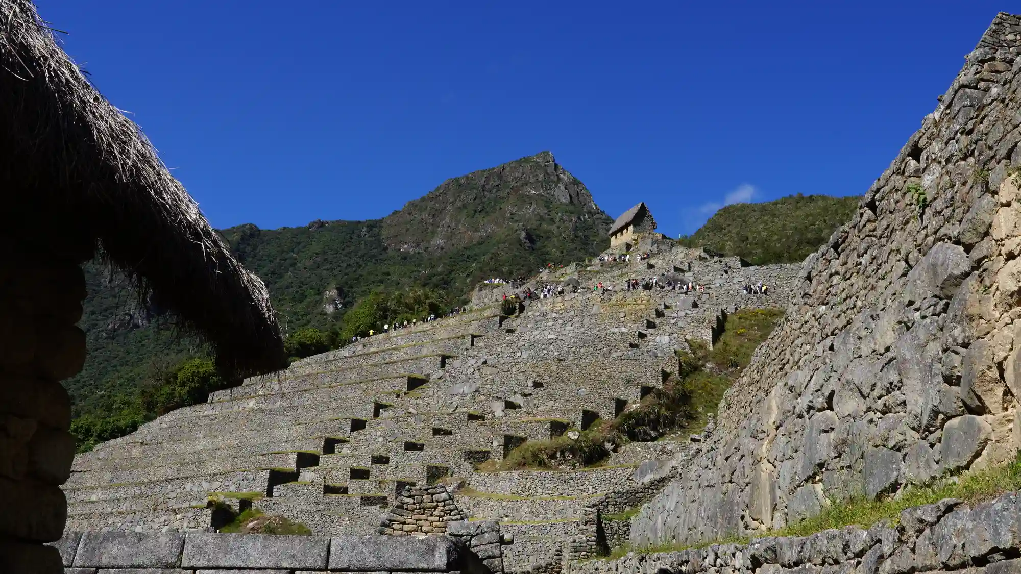 Machu Picchu 1-Day Tour from Cusco